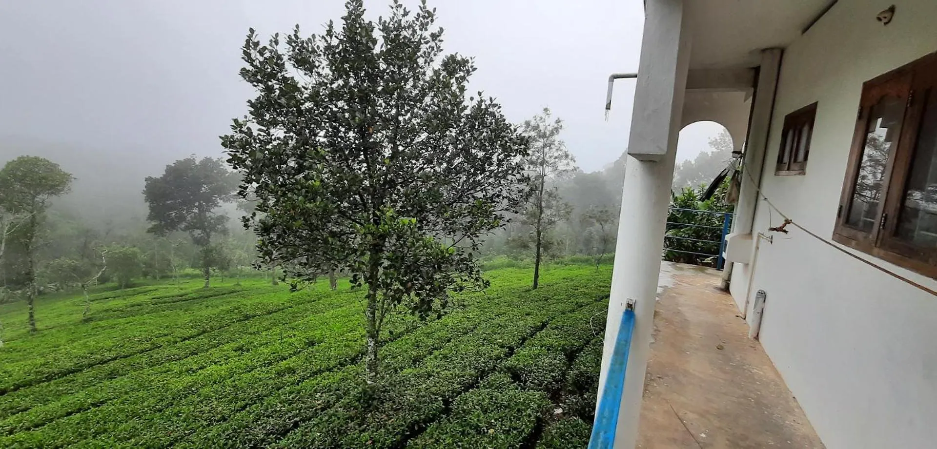 Homestay Best Mist Idukki