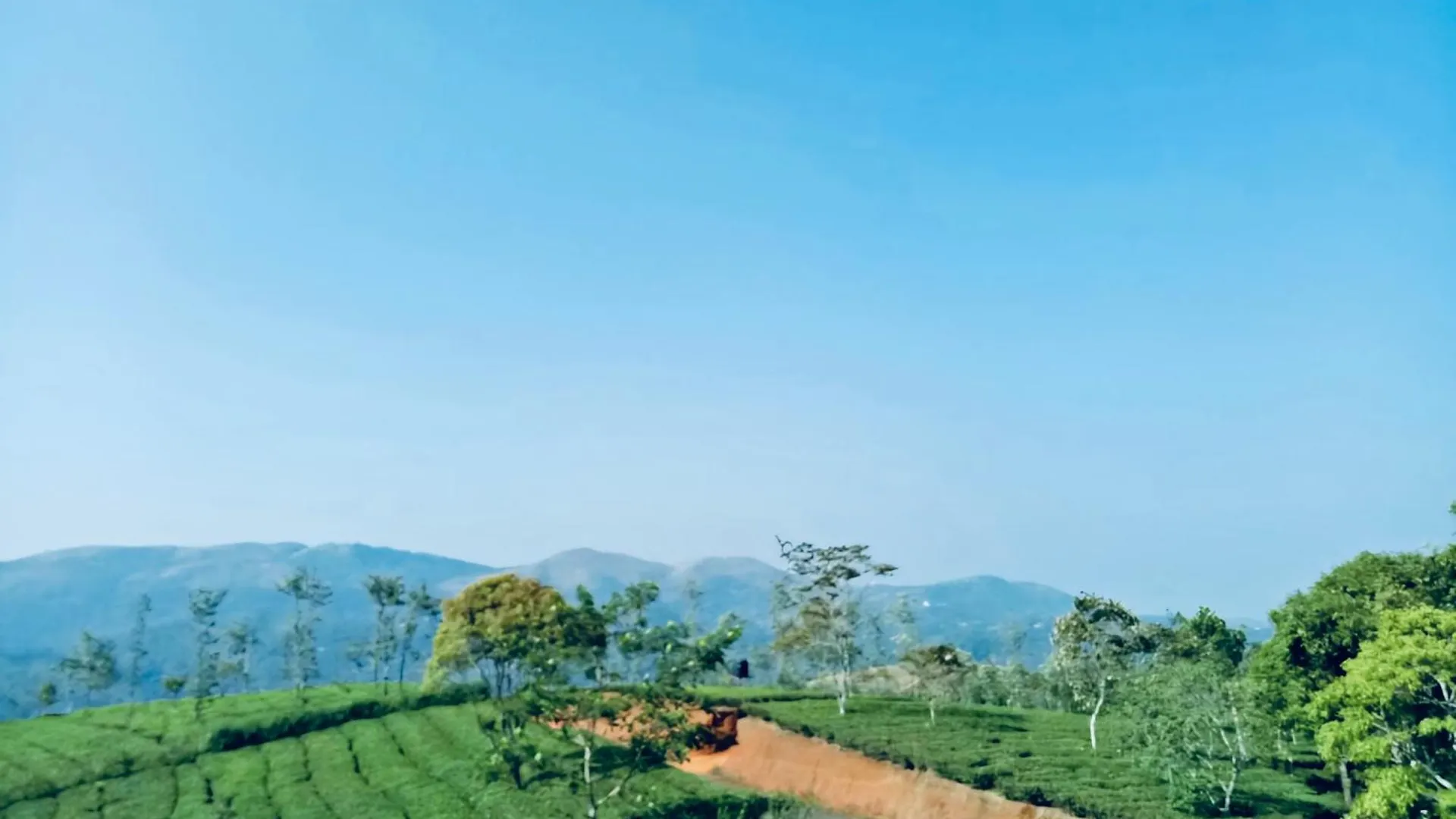 Best Mist Idukki Homestay
