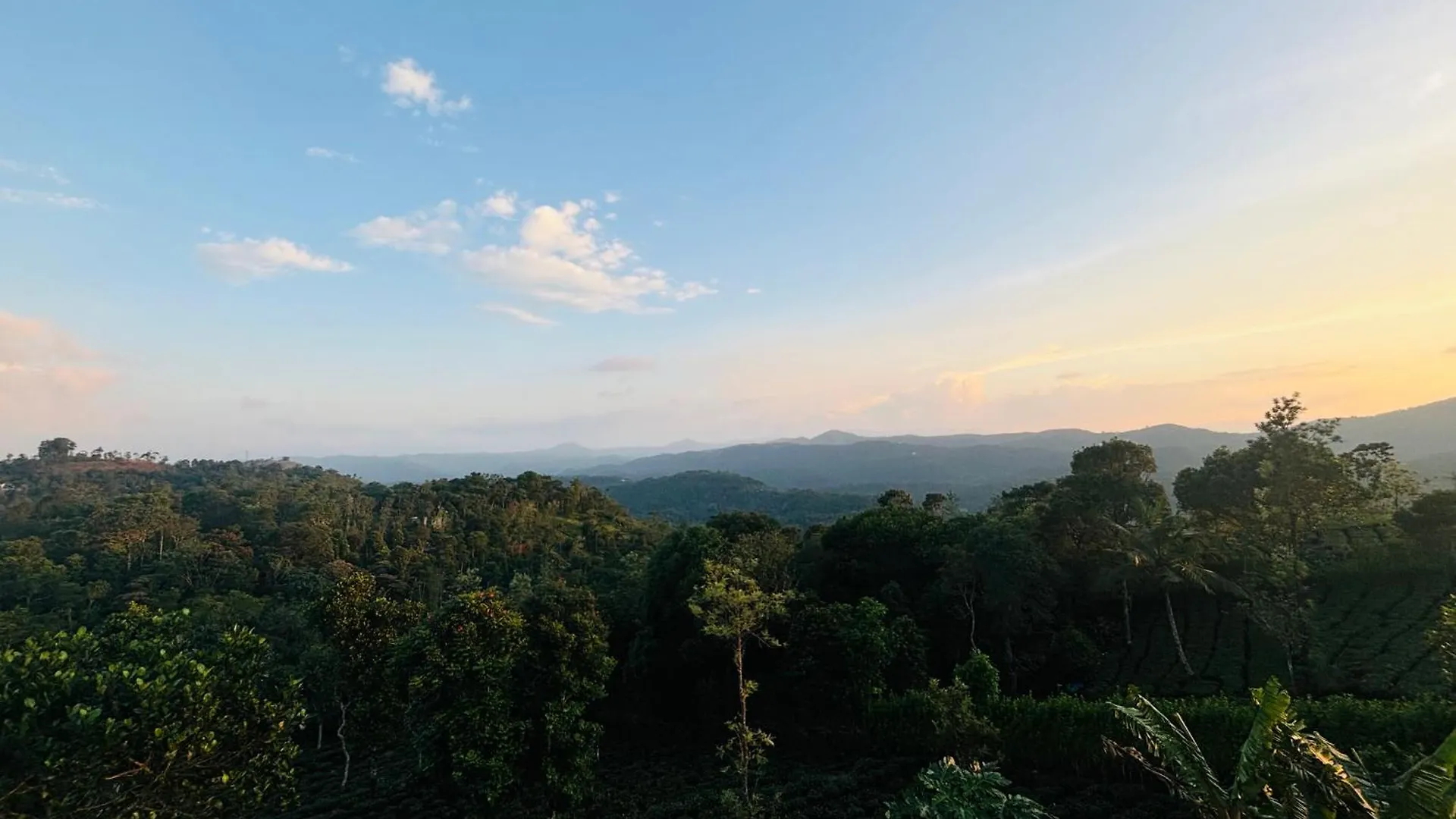 Homestay Best Mist Idukki