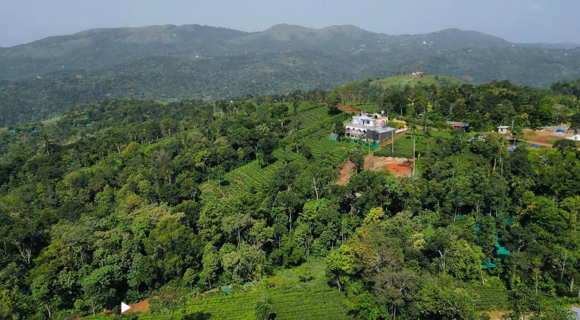 Best Mist Idukki