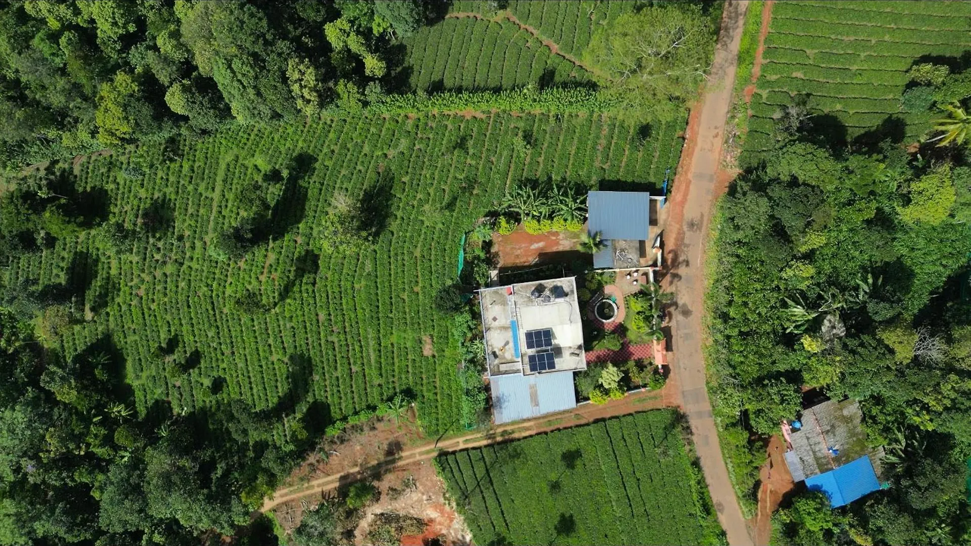 Homestay Best Mist Idukki